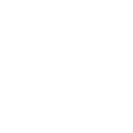 Vera Logo